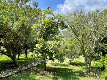 Casa en venta en Ixtlahuacán de los Membrillos Jalisco