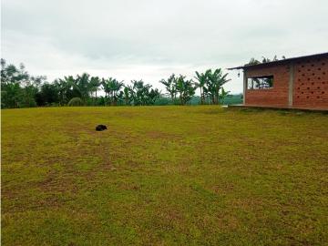 Casa de campo de alto standing de 400000 m2 en venta Valencia, Ecuador