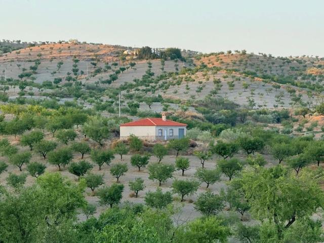 Casa de campo de 100 m2 con 5 hectáreas de terreno en El Madroño Almería