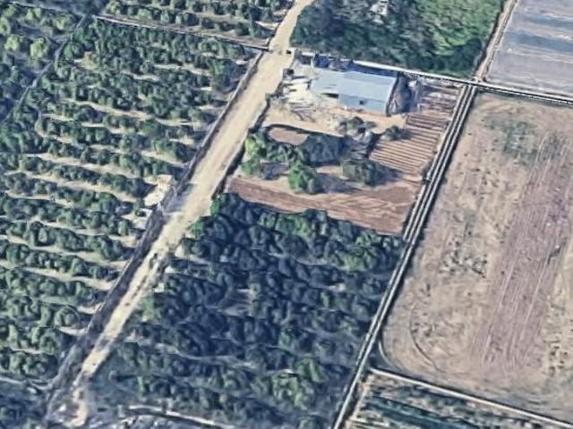 Casa de campo en Cullera