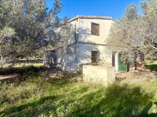 Casa de campo en heredad de olivos