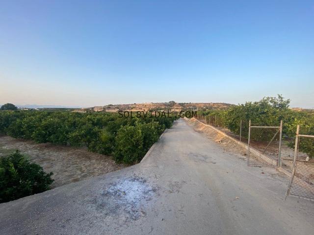 Casa de campo en Jacarilla