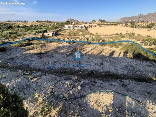 CASA DE CAMPO EN LA ALCORAYA