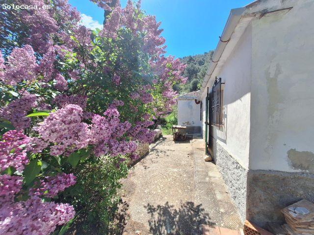 ?Casa de campo en la Font Roja Alcoy – Finca rústica en plena naturaleza a un precio excepcional