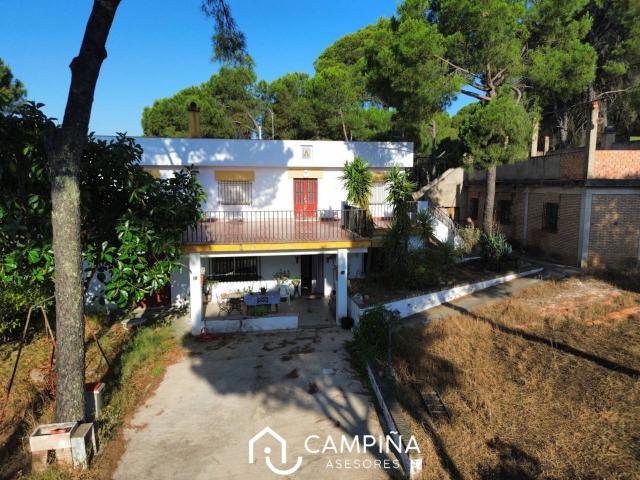 Casa de campo en Los Pinos en Valverde del Camino