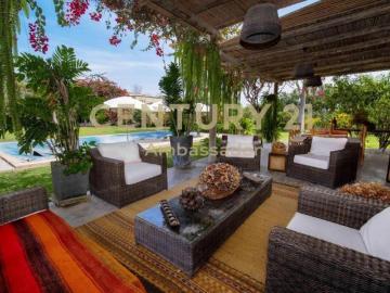 Casa de campo en venta con plantación de frutales en Chincha El Carmen