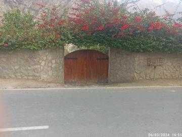 CASA DE CAMPO EN VENTA DE 3174M2 CON PLANTAS DE PALTA Y FRUTALES DIVERSOS