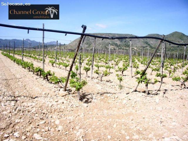 Casa de campo en Venta en Novelda, Alicante