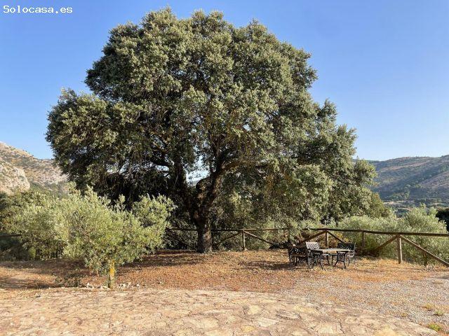 Casa de campo en Venta en Alfarnatejo, Málaga