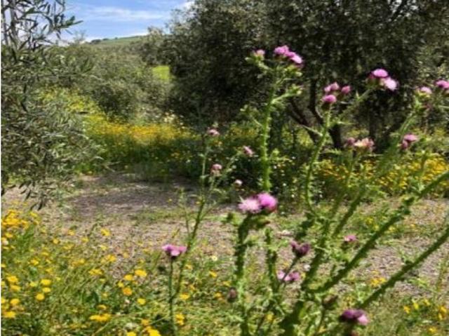 Casa de campo en Venta en Alora, Málaga