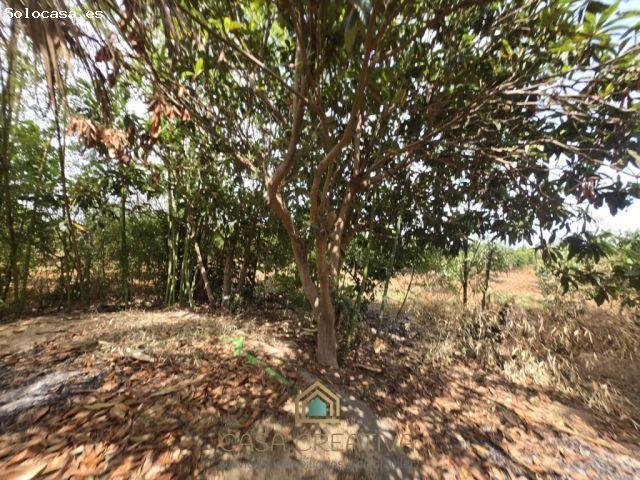 CASA DE CAMPO EN VENTA EN BENIFAIÓ – FINCA DE 5.900 m2 CON VIVIENDA – 110.000 €