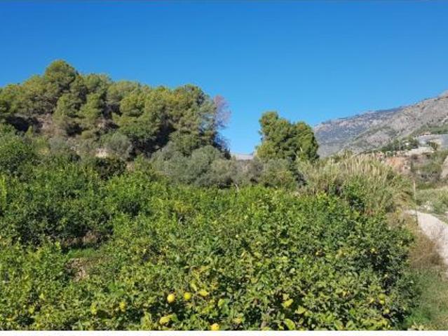 Casa de campo en Venta en Callosa dEn Sarria, Alicante