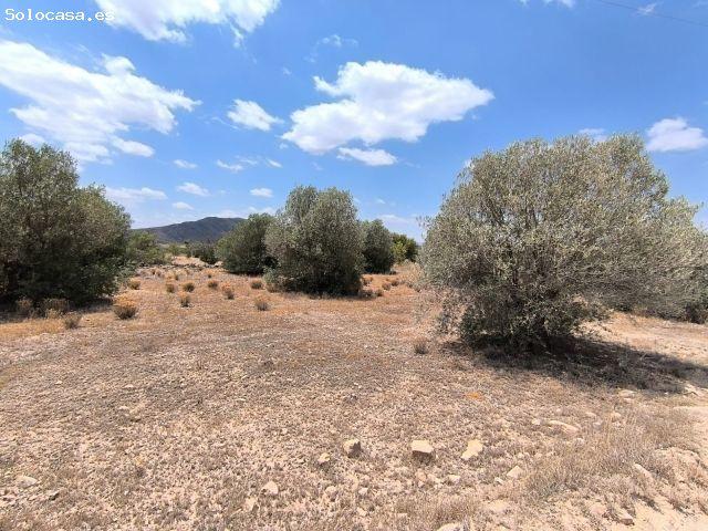 Casa de campo en Venta en Caudete, Albacete