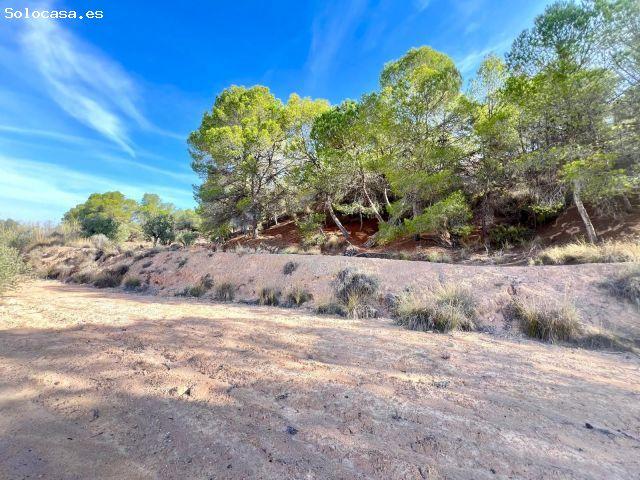 Casa de campo en Venta en Pinoso, Alicante