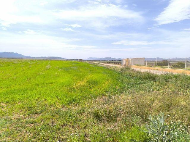 Casa de campo en Venta en Yecla, Murcia