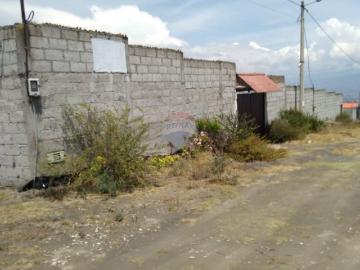 Casa de campo independiente en huachi grande