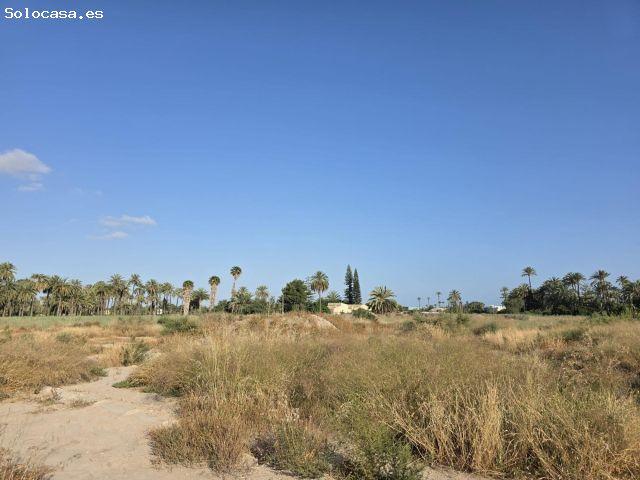CASA DE CAMPO PARA REFORMAR A 2 MINUTOS DE ELCHE