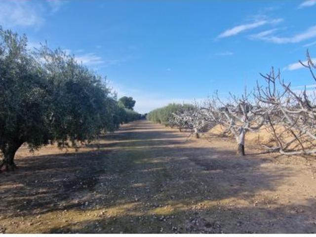 Casa de Campo Registrada y Legalizada en Torreblanco