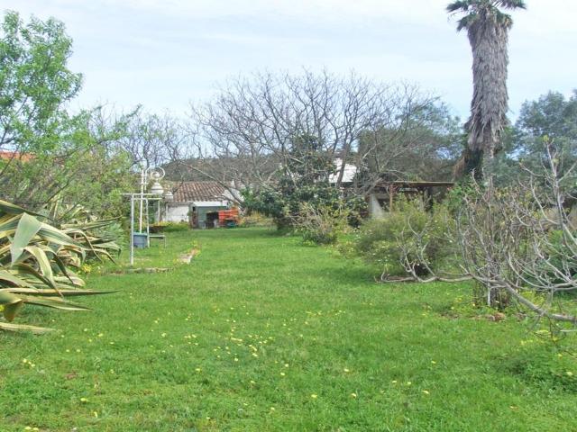 Casa de Campo T2 Tradicional em Santa Catarina Algarve 157m² Santa Catarina Da Fonte Do Bispo