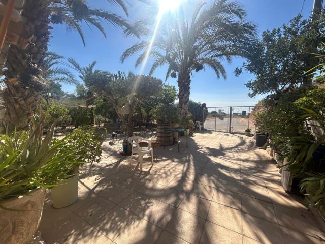 Casa de Campo Venta Alicante