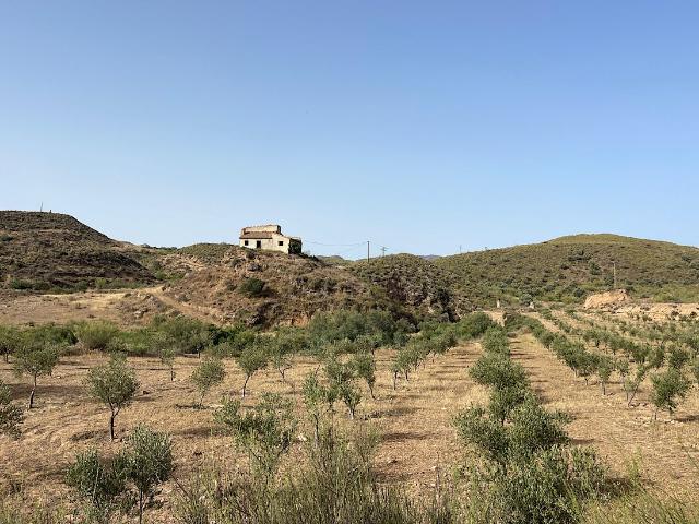 Casa de Campo Venta Almería