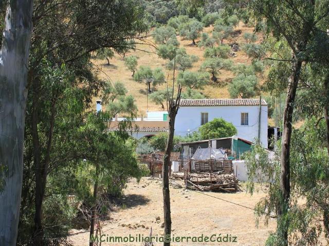 Casa de Campo Venta Cádiz