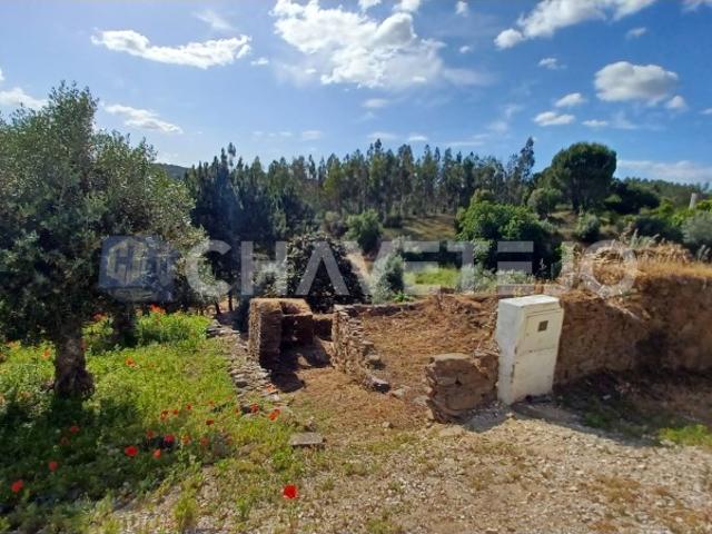 Casa de habitação em ruínas perto da Albufeira de Castelo de Bode