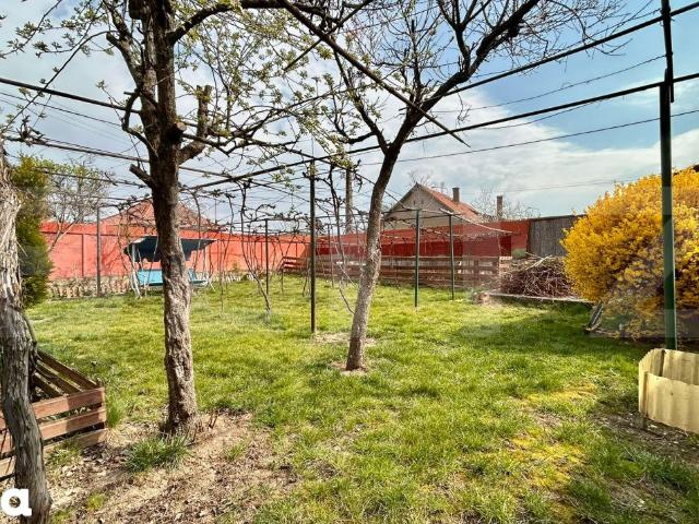 Casa de inchiriat, 61.40 mp + 480 mp teren Episcopia Bihorului