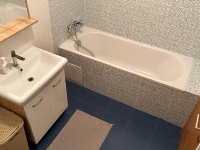 Casa de inchiriat Voluntari Avangarde Forest 2 pet friendly