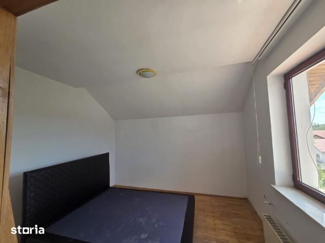 Casa de închiriat Prundu/Pitesti, business sau rezidential