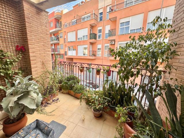 Casa de Lujo en el Encantador Barrio de la Ocarasa, en Orihuela, con patio grande, terraza y garaje. ¡Una oportunidad única que no querrás dejar pasar!
