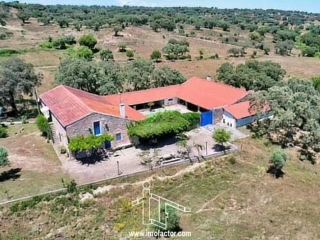 Casa de luxo à venda Castelo Branco