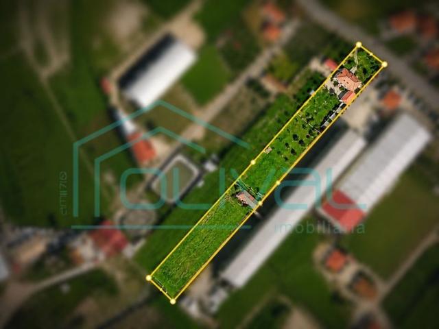 Casa de luxo de 170 m² à venda Benavente, Santarém