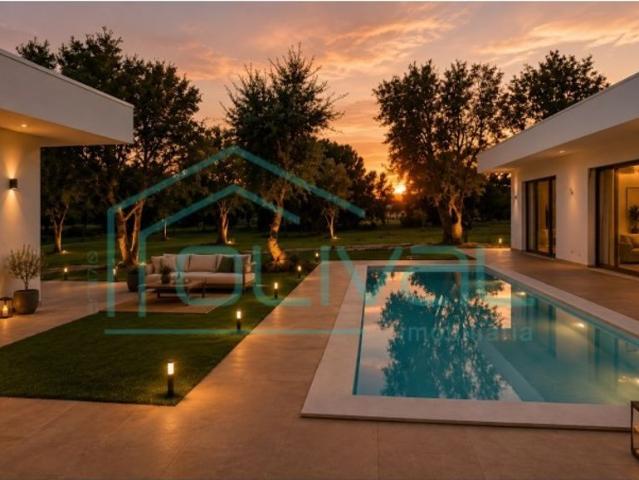 Casa de luxo de 275 m² à venda Vila Nova de Santo Estevao, Benavente, Santarém