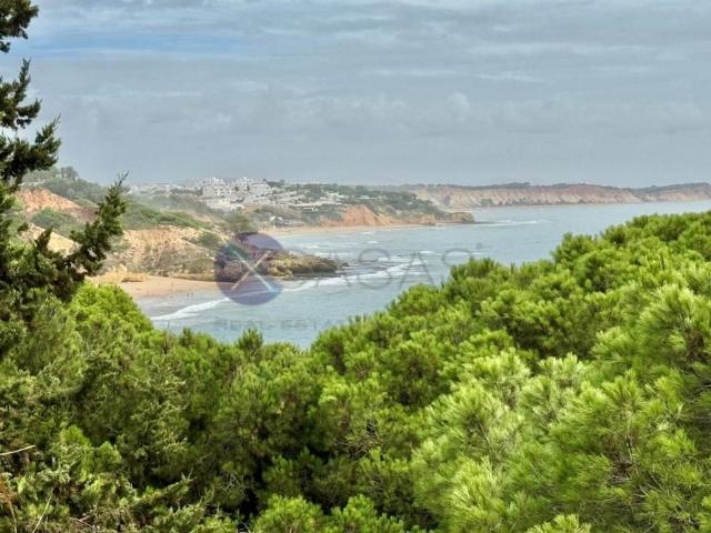 Casa de luxo de 300 m² à venda Olhos de Agua, Albufeira, Faro