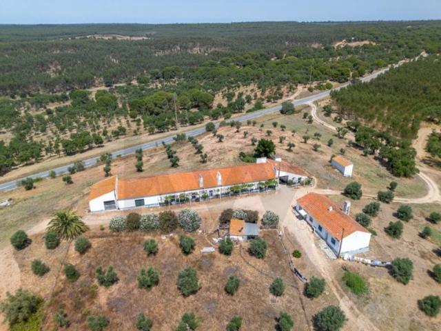 Casa de luxo de 436 m² à venda Montemor o Novo, Évora