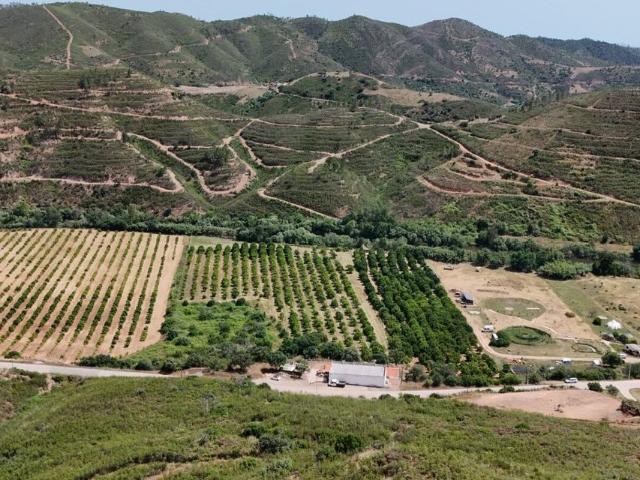Casa de luxo de 644 m² à venda Monchique, Faro