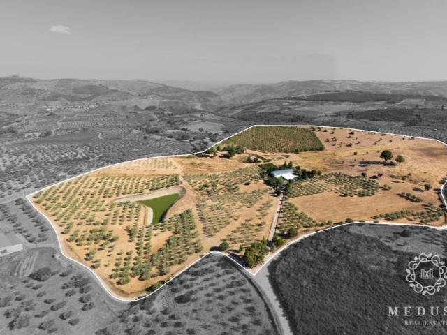 Casa de luxo de 800 m² à venda São João da Pesqueira, Viseu
