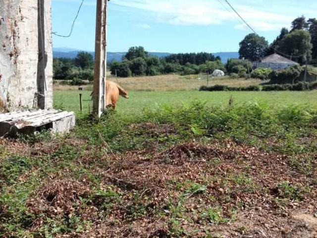 Casa de pueblo en Venta en Corgo, O Lugo