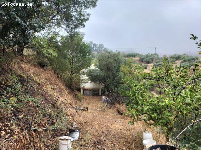Casa de Pueblo en Venta en Málaga del Fresno, Málaga