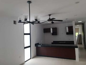 Casa de Pluma