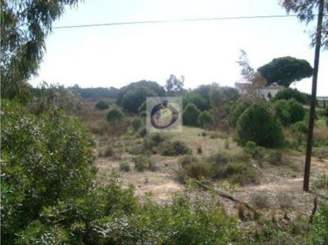 Casa de prestígio à venda Faro, Portugal