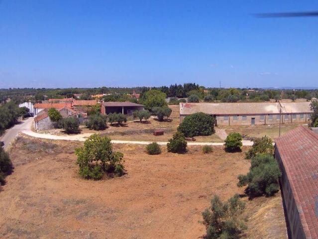 Casa de prestígio à venda Vila Nova do Coito, Santarém