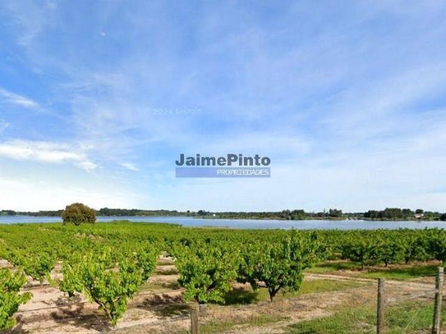 Casa de prestígio de 500 m² à venda Fundão, Castelo Branco