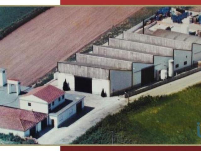 Casa de prestígio de 3000 m² à venda Ílhavo, Portugal