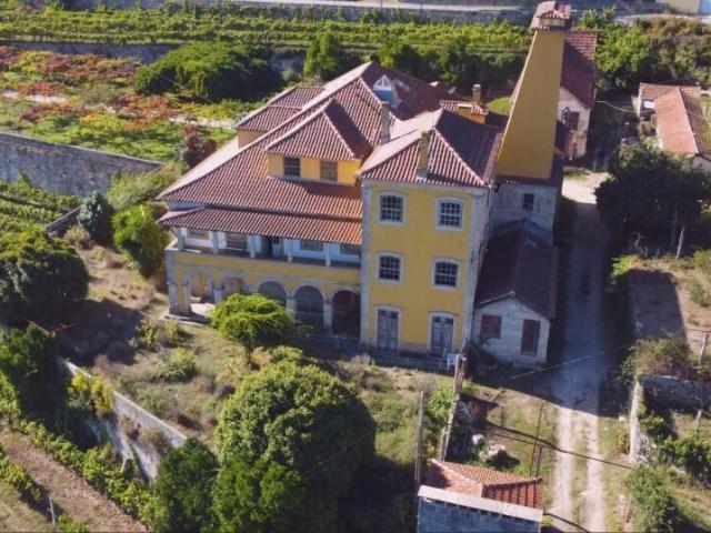 Casa de prestígio de 1885 m² à venda Constance, Portugal