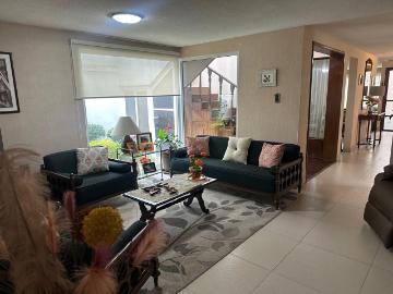 Casa de una Planta con 3 Rec?maras, Estudio y Jard?n con Terraza