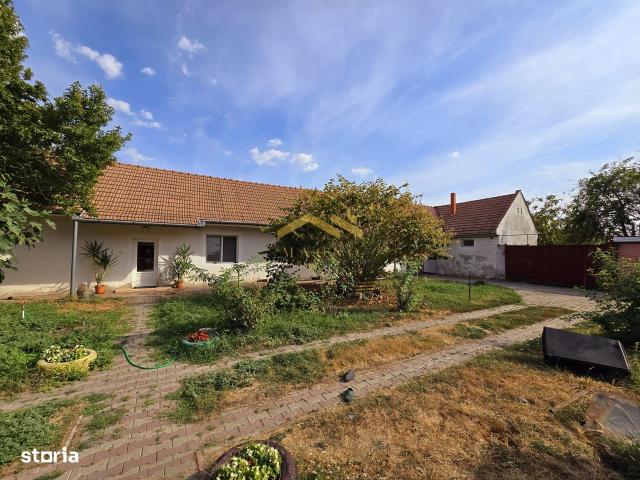 Casa de vanzare cu teren mare pe Ady Endre Aradul nou