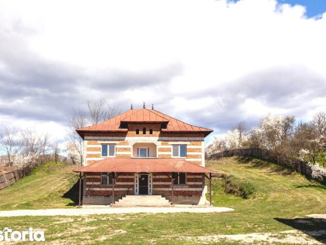 Casa de vanzare in Arges Cosesti