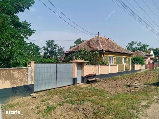 Casa de vanzare in sat Homorog